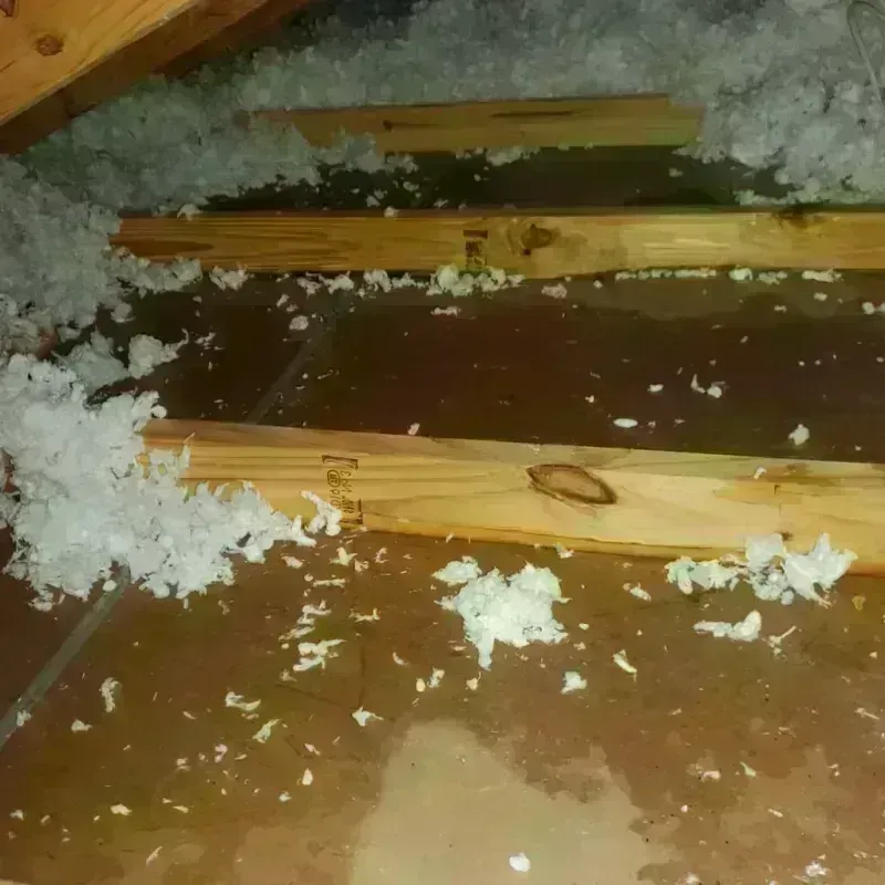 Attic Water Damage in Billings County, ND